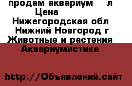 продам аквариум 60 л › Цена ­ 2 500 - Нижегородская обл., Нижний Новгород г. Животные и растения » Аквариумистика   